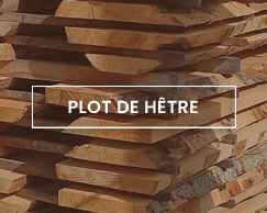 maderas ederra plot de hêtre